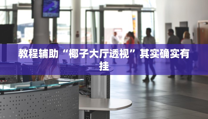 教程辅助“椰子大厅透视”其实确实有挂