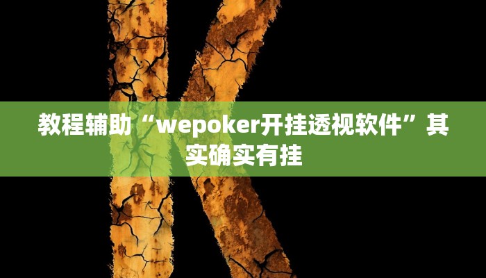 教程辅助“wepoker开挂透视软件”其实确实有挂