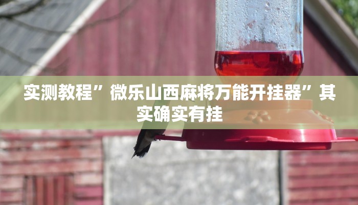 实测教程”老友十三水有没有开挂有没有假”其实确实有挂
