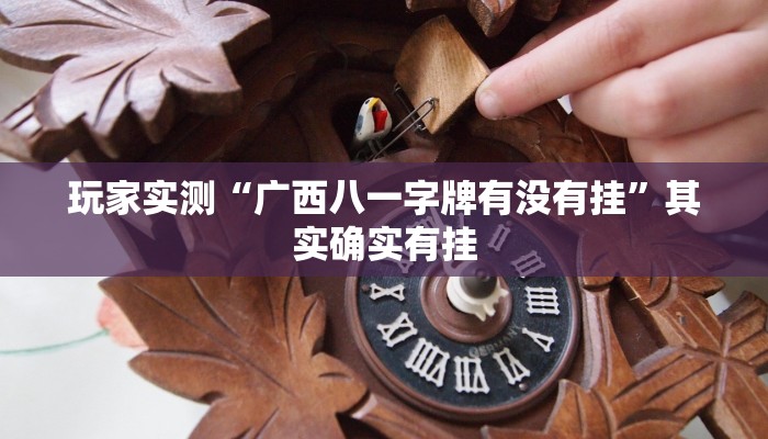 教程辅助“陕麻圈开挂神器”其实确实有挂