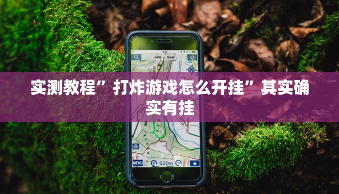 推荐一款“新老夫子有挂吗”其实确实有挂