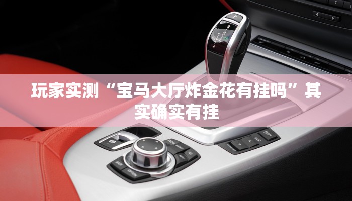 推荐一款“微乐麻将开挂教程步骤”其实确实有挂