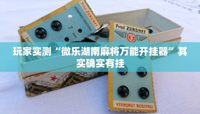 推荐一款“微乐麻将换牌器”其实确实有挂