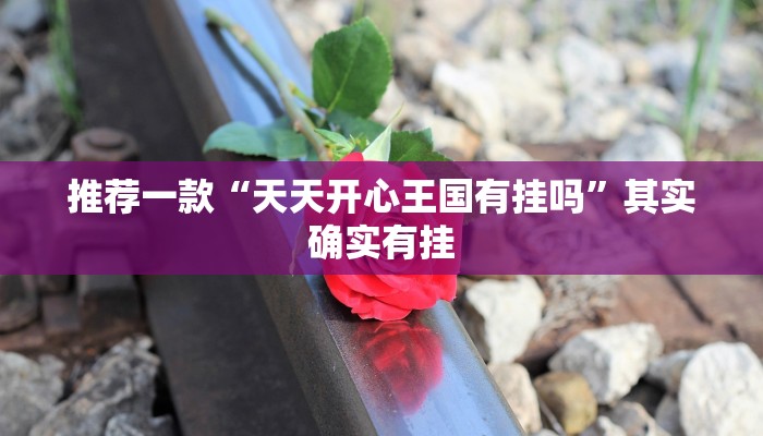 教程辅助!“皮皮跑胡子开挂神器”其实确实有挂