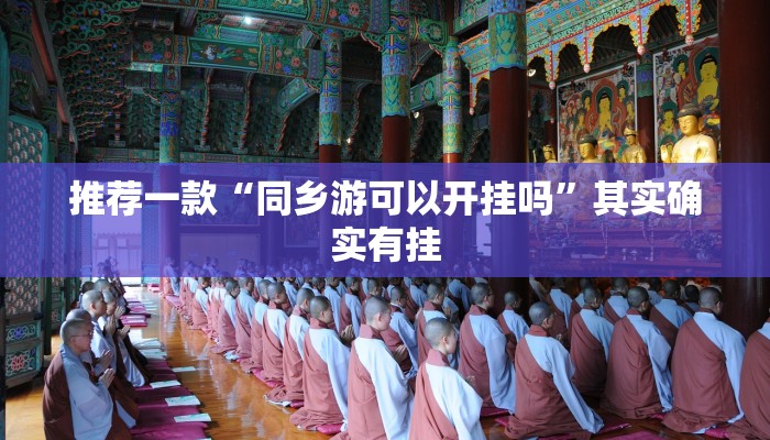推荐一款“同乡游可以开挂吗”其实确实有挂