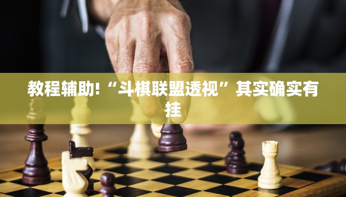 教程辅助!“斗棋联盟透视”其实确实有挂