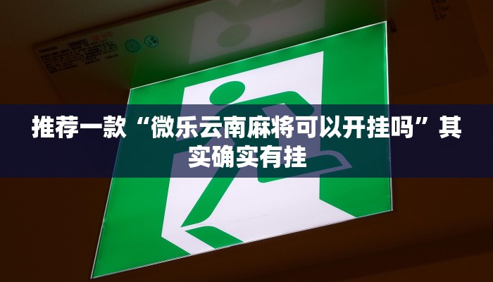 推荐一款“十三十三水可以开挂吗”其实确实有挂