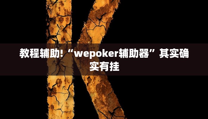 教程辅助!“新玄龙可以开挂吗”其实确实有挂