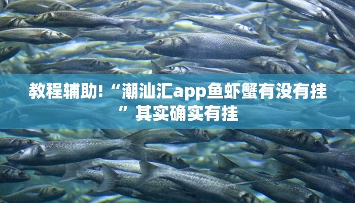 教程辅助!“潮汕汇app鱼虾蟹有没有挂”其实确实有挂