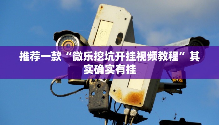 推荐一款“微乐挖坑开挂视频教程”其实确实有挂