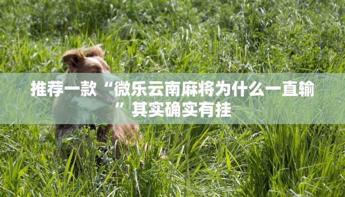 推荐一款“途游四川麻将外卦神器”其实确实有挂