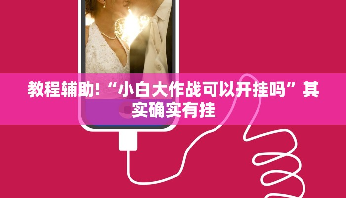 教程辅助!“小白大作战可以开挂吗”其实确实有挂