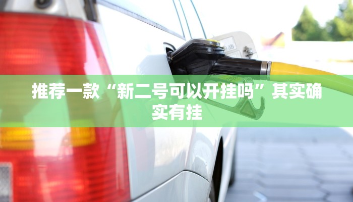 教程辅助!“微乐辅助神器开挂下载”其实确实有挂