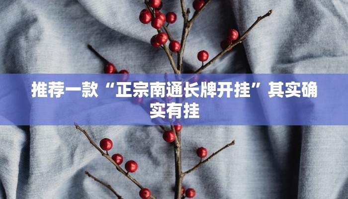 推荐一款“正宗南通长牌开挂”其实确实有挂