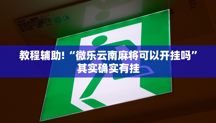 教程辅助!“微乐云南麻将可以开挂吗”其实确实有挂
