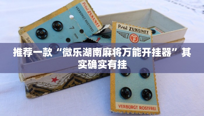 推荐一款“开心十三水开挂辅助器”其实确实有挂