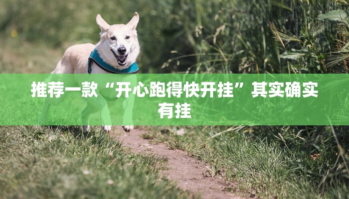 教程辅助!“天天贵阳麻将开挂神器”其实确实有挂