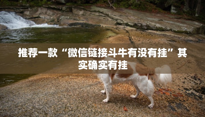 推荐一款“微信链接斗牛有没有挂”其实确实有挂