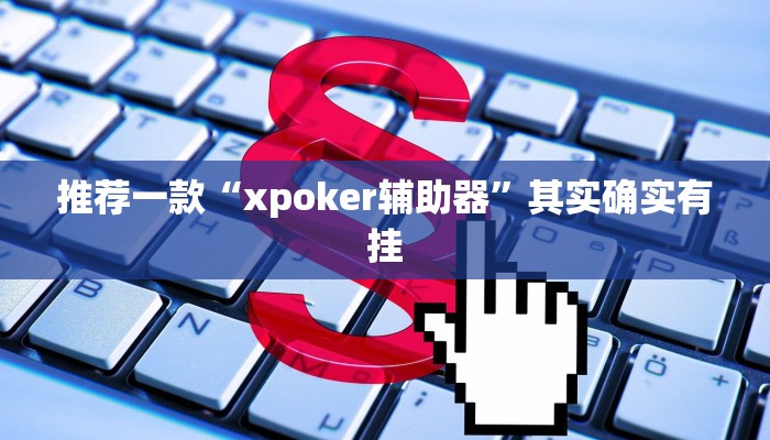 推荐一款“xpoker辅助器”其实确实有挂