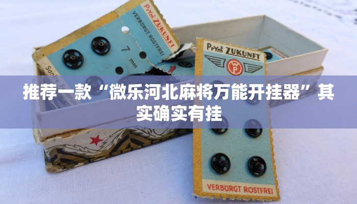 推荐一款“丽水都莱大菠萝有挂吗”其实确实有挂
