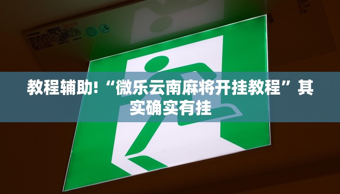 教程辅助!“如何让微乐麻将手气变好”其实确实有挂