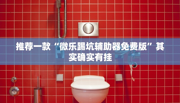 推荐一款“哈灵干瞪眼辅助器”其实确实有挂
