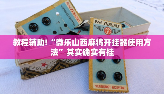 教程辅助!“微乐保皇开挂器是什么软件”其实确实有挂
