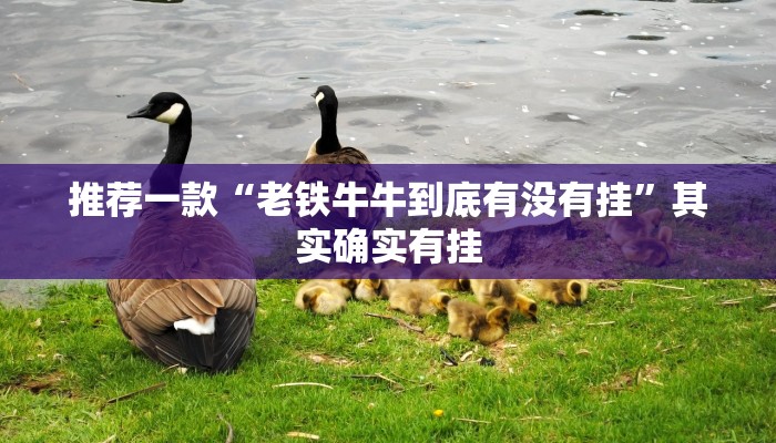 推荐一款“52麻将免费开挂神器”其实确实有挂