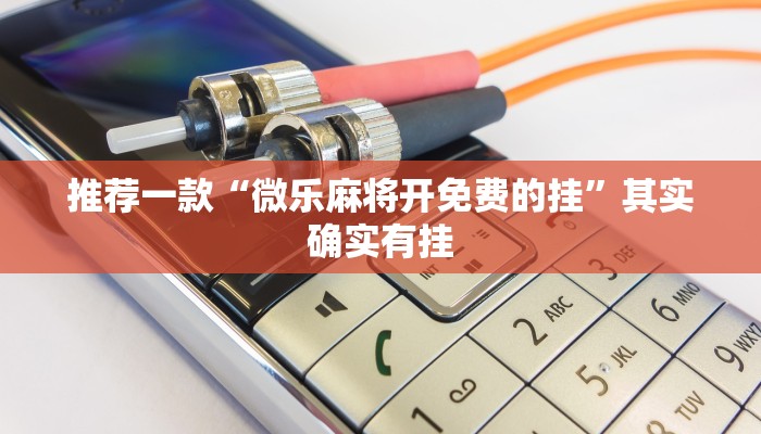 教程辅助!“微乐必赢辅助器免费安装华为”其实确实有挂