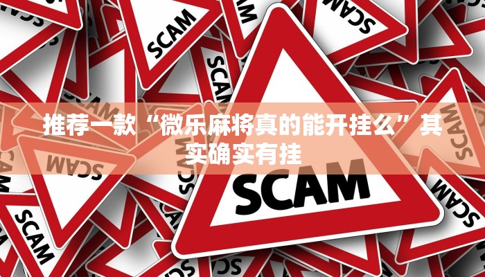 推荐一款“微信小程序微乐麻将必赢神器软件”其实确实有挂