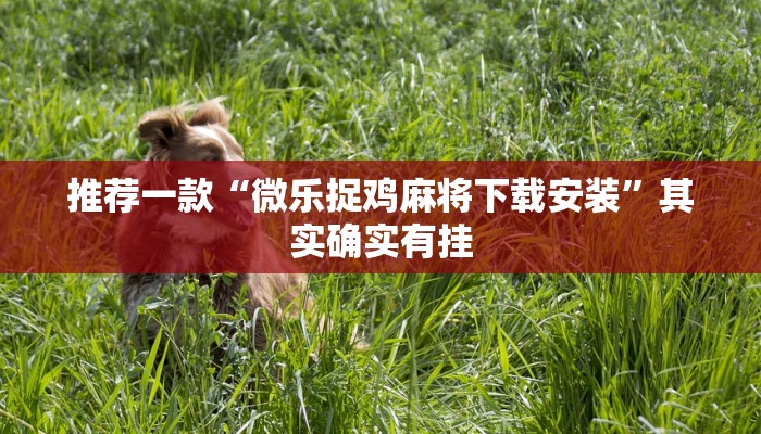教程辅助!“微信小程序万能开挂器下载”其实确实有挂