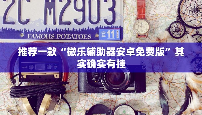 推荐一款“微乐辅助器安卓免费版”其实确实有挂