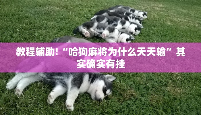 教程辅助!“哈狗麻将为什么天天输”其实确实有挂