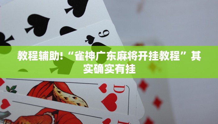 推荐一款“雀神小程序辅助app极速辅助”其实确实有挂