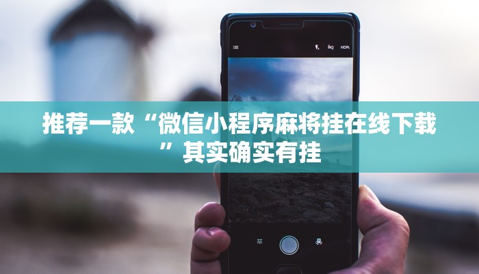 推荐一款“微信小程序麻将挂在线下载”其实确实有挂