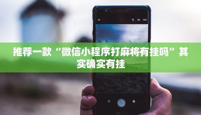 教程辅助!“微乐麻将怎么提高胜率”其实确实有挂