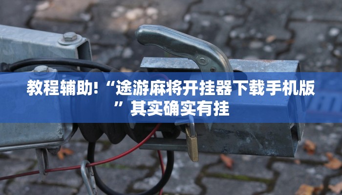 推荐一款“麻将可以开挂的软件”其实确实有挂