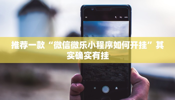 推荐一款“微乐开挂下载软件”其实确实有挂