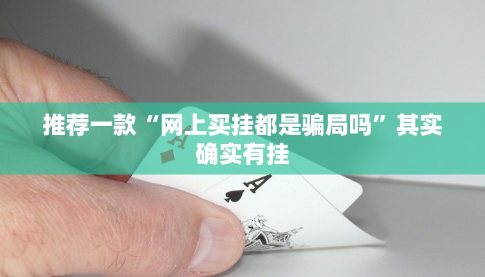 推荐一款“网上买挂都是骗局吗”其实确实有挂