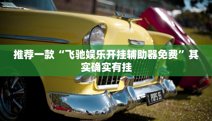 教程辅助!“微乐免费房间怎么开挂”其实确实有挂