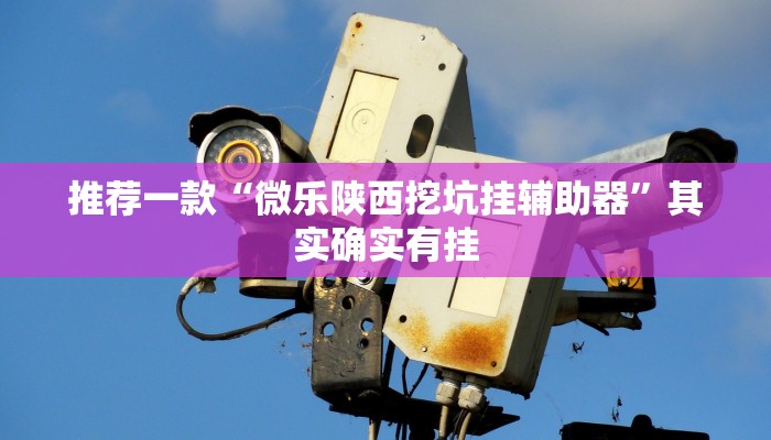 推荐一款“微乐家乡麻将开挂挂通用版”其实确实有挂