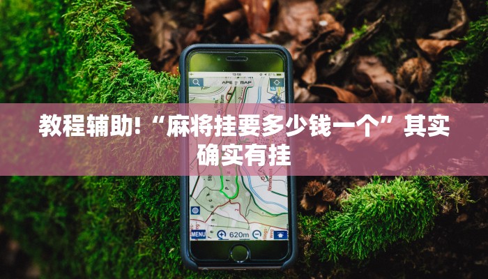 推荐一款“天天福建十三张怎么开挂”其实确实有挂