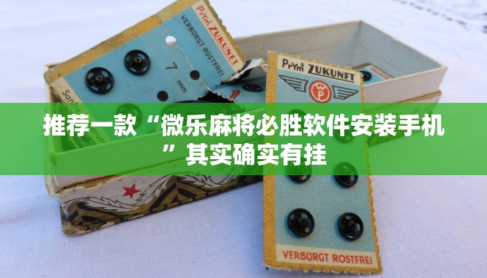 教程辅助!“奇迹陕西麻将挂是真的吗?”其实确实有挂