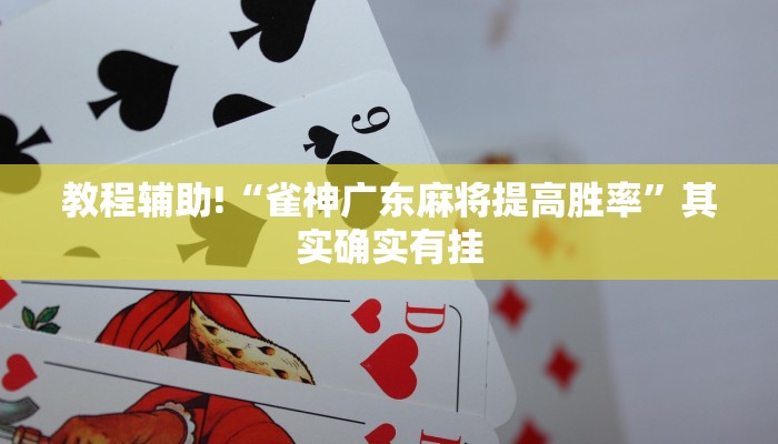 推荐一款“微乐辅助神器开挂”其实确实有挂