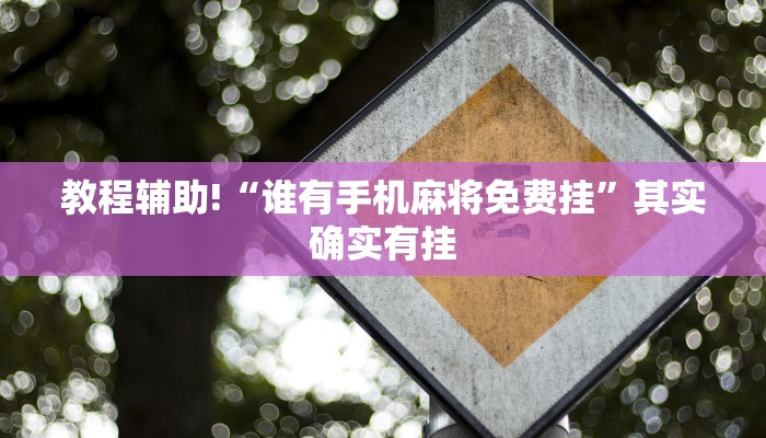 推荐一款“大宝连云港麻将开挂”其实确实有挂