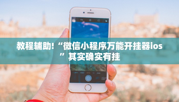 教程辅助!“微乐麻将有挂么怎么买”其实确实有挂