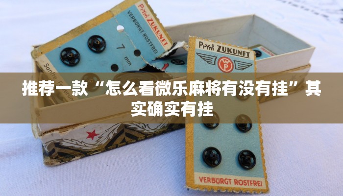 教程辅助!“天蝎大厅透视试用”其实确实有挂