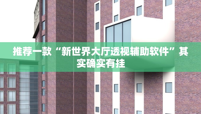 推荐一款“新世界大厅透视辅助软件”其实确实有挂
