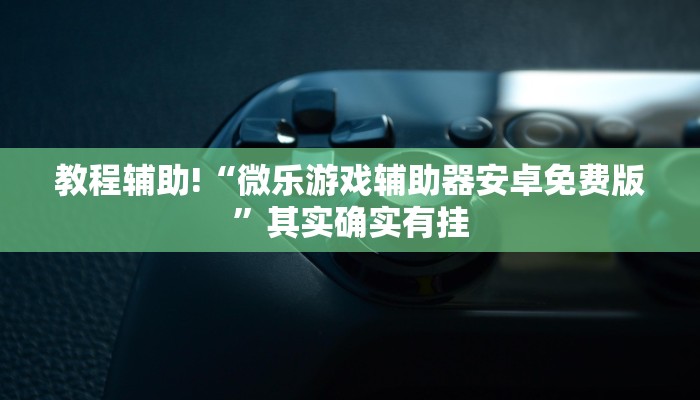 教程辅助!“微乐麻将有规律吗为什么总输”其实确实有挂
