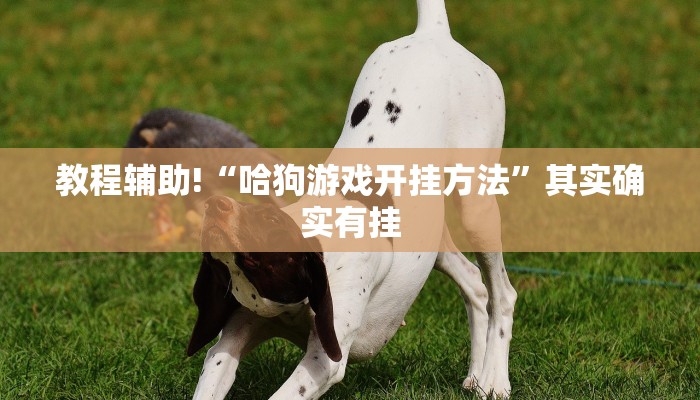 教程辅助!“微乐四川麻将小程序外卦神器下载安装”其实确实有挂
